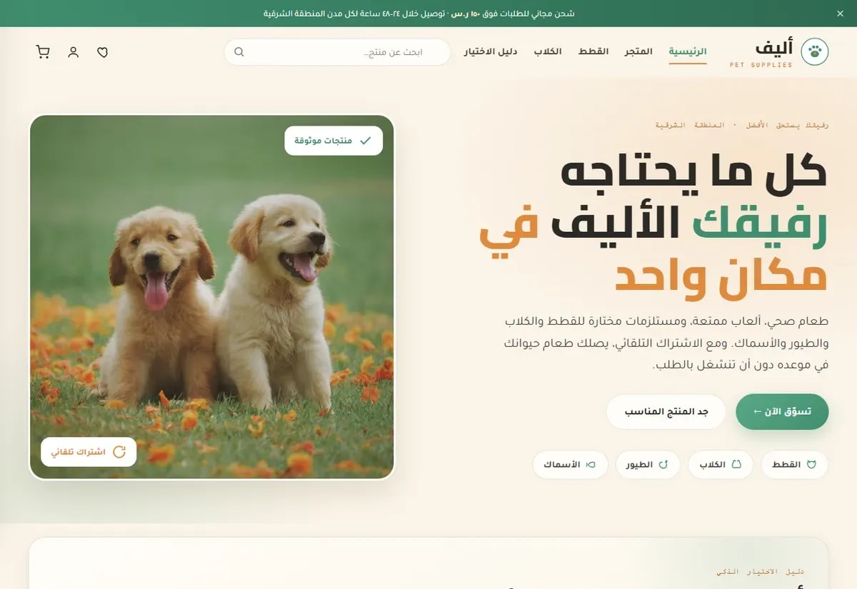 المتاجر الإلكترونية وقوالب سلة